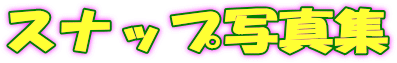 スナップ写真集